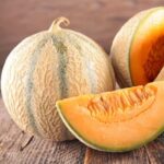 Melon en vente directe en agriculture biologique